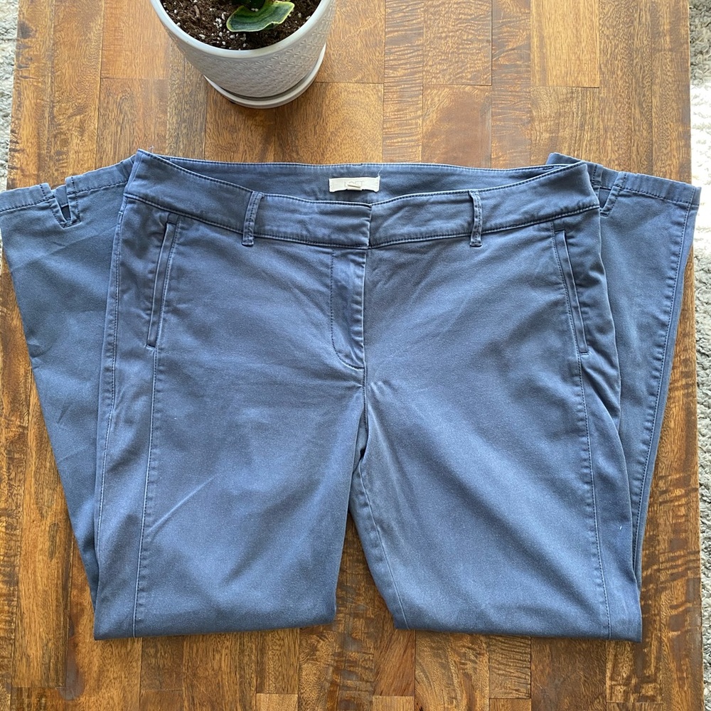 LOFT Skinny Ankle Chino